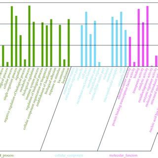 Classification Channel Go 的图像结果