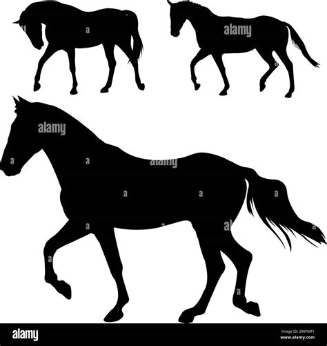 horses silhouettes - vector Stock Vector Image & Art - Alamy