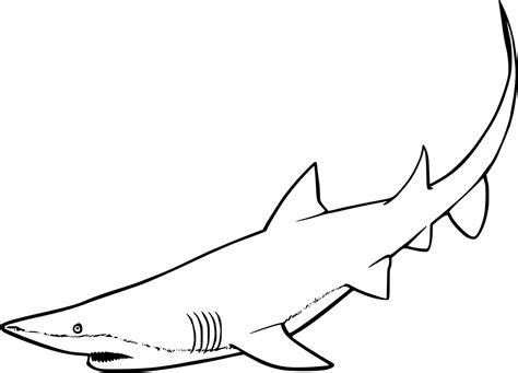Shark Evolution Script 的图像结果