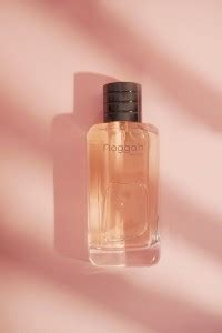 Buy Noggah Hoflichkeit Luxury Perfume for Men Eau de Parfum - 100 ml ...