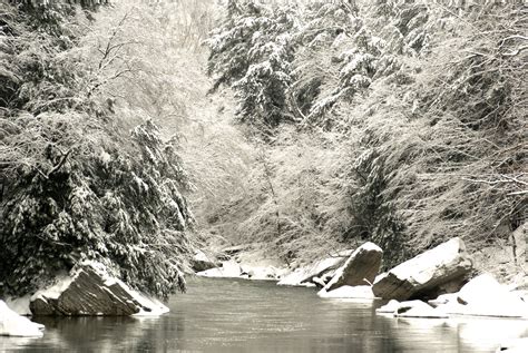Cold Creek Through Snowy Woods Free Stock Photo - Public Domain Pictures