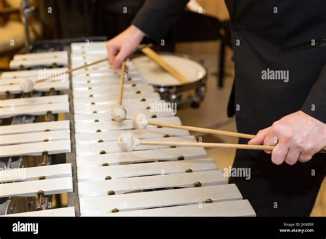 Image result for Concert Band Percussion Instruments