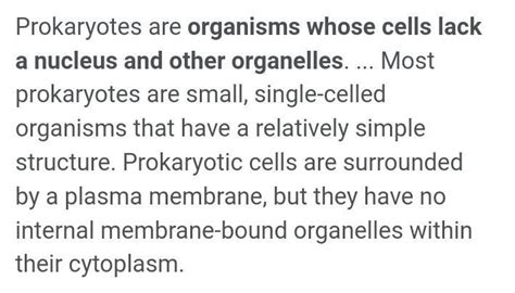 what is prokaryotic cell - Brainly.in