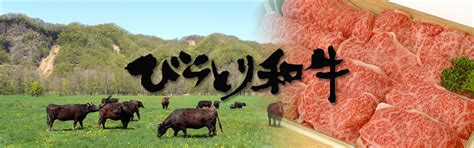 2026 Special feature on Hokkaido beef_Biratori Wagyu_UU-Hokkaido ...