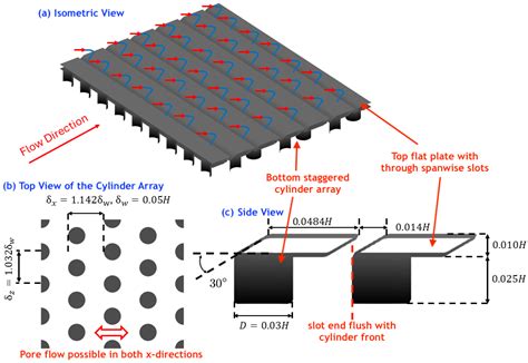 DNS and Experimental Assessment of Shark-Denticle-Inspired Anisotropic ...
