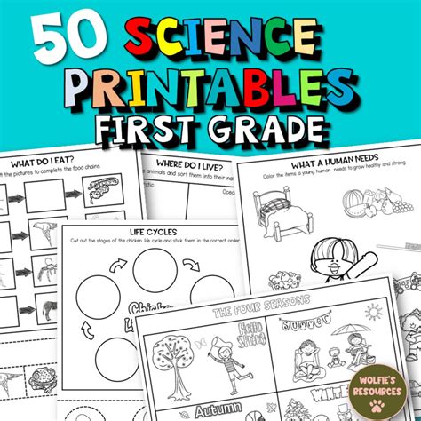 First Grade Printable Science Worksheets