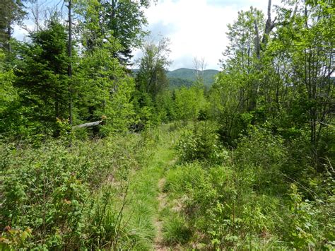 Off on Adventure: Allen Mountain - Adirondack High Peaks - 6/9/12