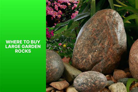 Where To Buy Large Garden Rocks - Gardening Gains