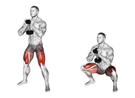 6 Best Goblet Squat Variations (with Pictures!) - Inspire US