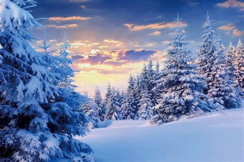 Image result for Snowing