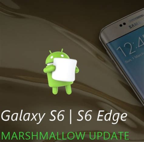 Android 5.1 Update Auf 6.0 的图像结果