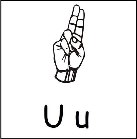 Behavior Sign Language 的图像结果