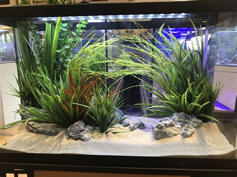 29 Gallon Aquarium Glass - Cuth Aquarium Fish