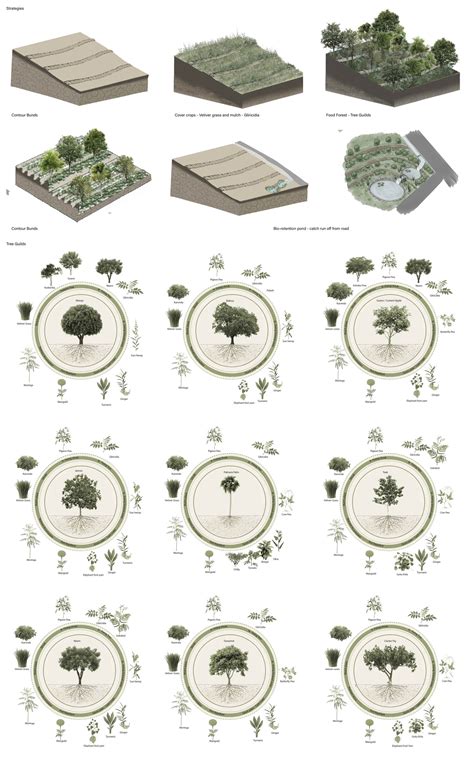 Nurturing the Ground | CEPT - Portfolio