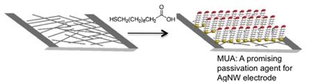Increasing Silver Nanowire Network Stability through Small Molecule ...