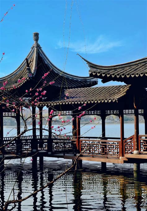 2019莫愁湖公园_旅游攻略_门票_地址_游记点评,南京旅游景点推荐 - 去哪儿攻略社区