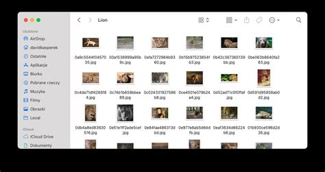 Image result for Scikit Python Zoo Animals Dataset