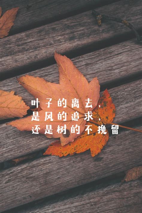 秋という名字（苗字）の読み方や由来・漢字の意味・ローマ字表記 - 名字検索 - ネムディク