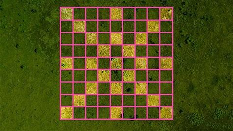 Image result for Sampling Using Quadrats BBC Bitesize