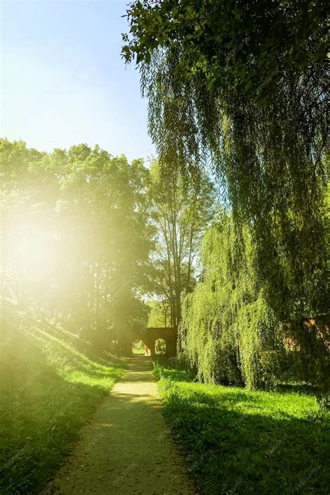 Spring/Summer View 的图像结果