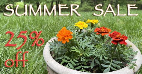 Image result for Fast Raw Viewer Tutorials