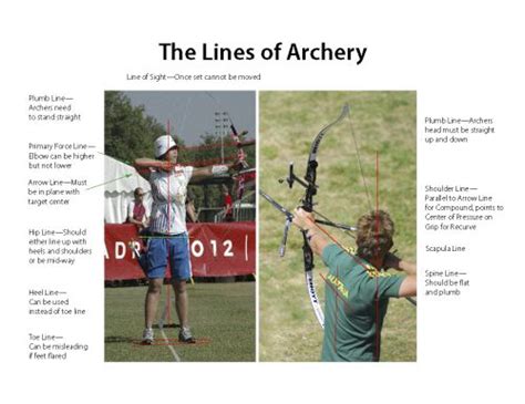 String Alignment Recurve 的图像结果