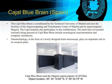 Blue Brain Project 的图像结果