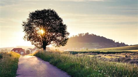 Nature Field 的图像结果