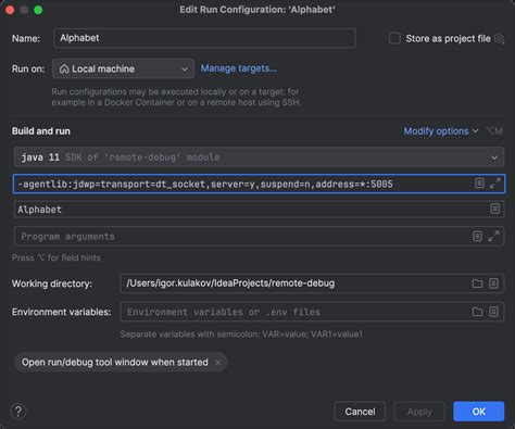 Remote Debug 的图像结果