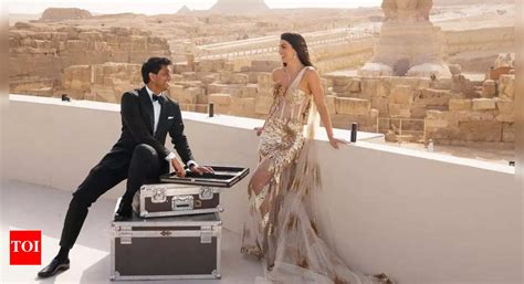 Billionaire Ankur Jain and former WWE wrestler Erika Hammond's lavish ...