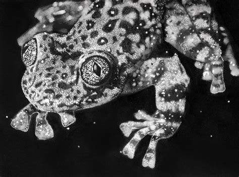 frog ghost drawing