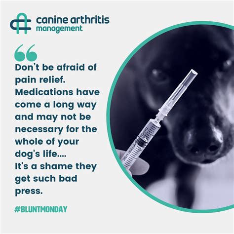 Medications are not bad! NSAIDs are frequently used to manage your dog ...