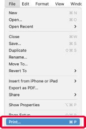 [PRINTER]｜ PRINTING WHEN THE USER AUTHENTICATION FUNCTION IS ENABLED｜BP ...