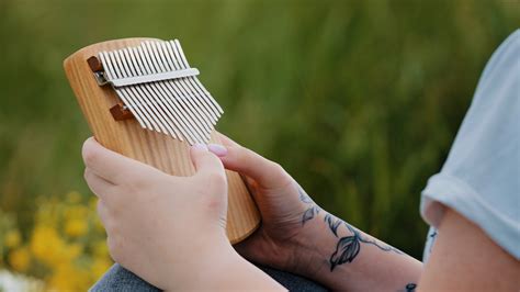 Image result for Bizarre Instruments