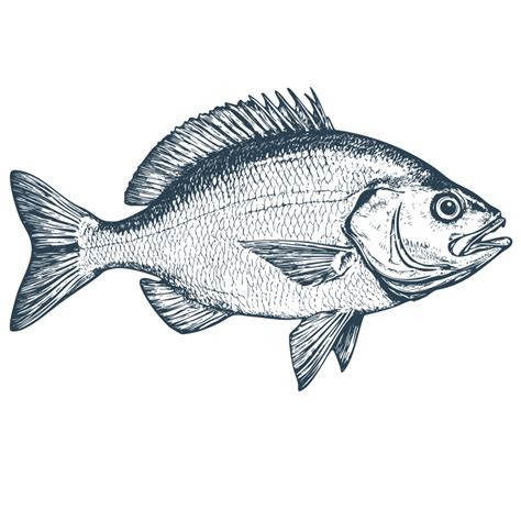 Murrysville | Juniper Grill