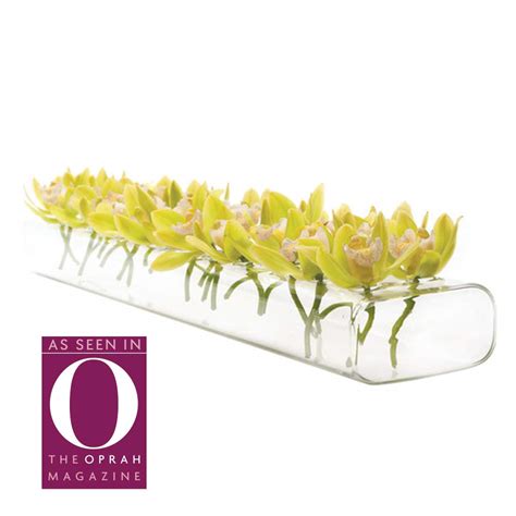 Chive ‘Flute’ Glass Flower Vase — Cute, Beautiful Clear Multi-Chambered ...