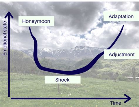 Culture Shock 的图像结果