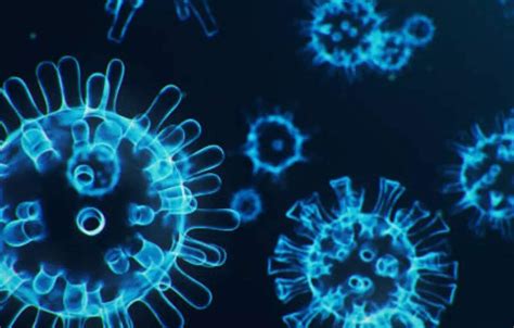 Biological Stress Examples 的图像结果