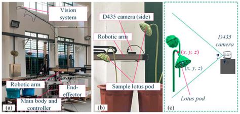 Instance Segmentation of Lotus Pods and Stalks in Unstructured Planting ...