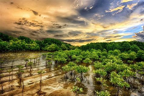 MAN'GROOVE BOAT TRIP (Updated 2026) All You Need to Know BEFORE You Go ...