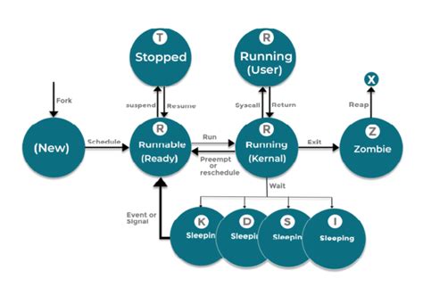 Image result for Linux Process Map