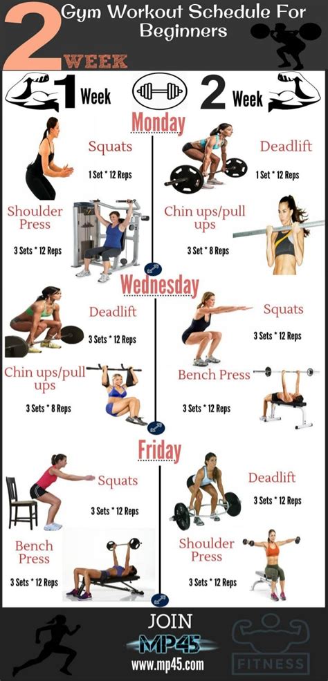 Example Workout Schedule 的图像结果