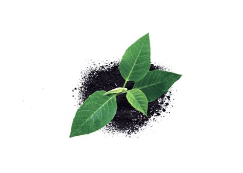 Products - Biological Crop Protection | Pollination