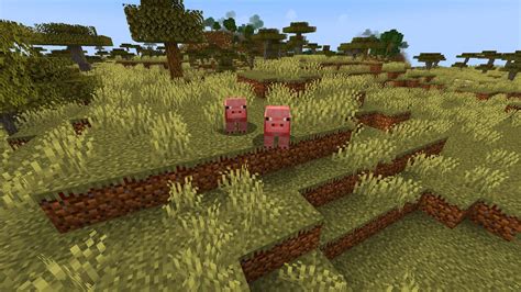 Image result for HDR for MC Java