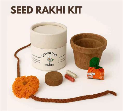 What Are Some Fun Virtual Raksha Bandhan Celebration Ideas for 2025 ...