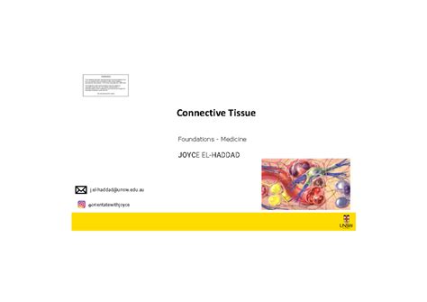 Image result for Connective Tissue Structure and Function