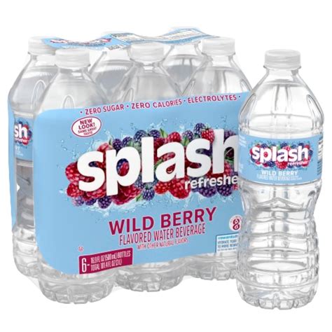 Amazon.com: Splash Refresher Wild Berry Flavor Water Beverage 16.9 Fl ...