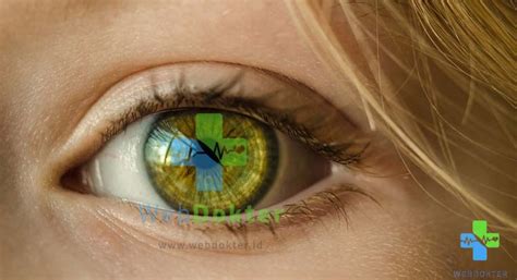 Kenali 7 Cara Merawat Kesehatan Mata Dengan Tepat Dan Mudah