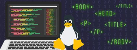 Transfer File Using SCP to Host 的图像结果