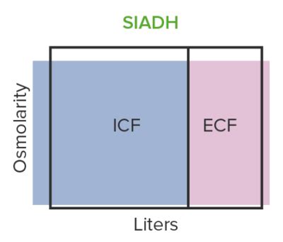 Image result for Def of Encoding and Decoding